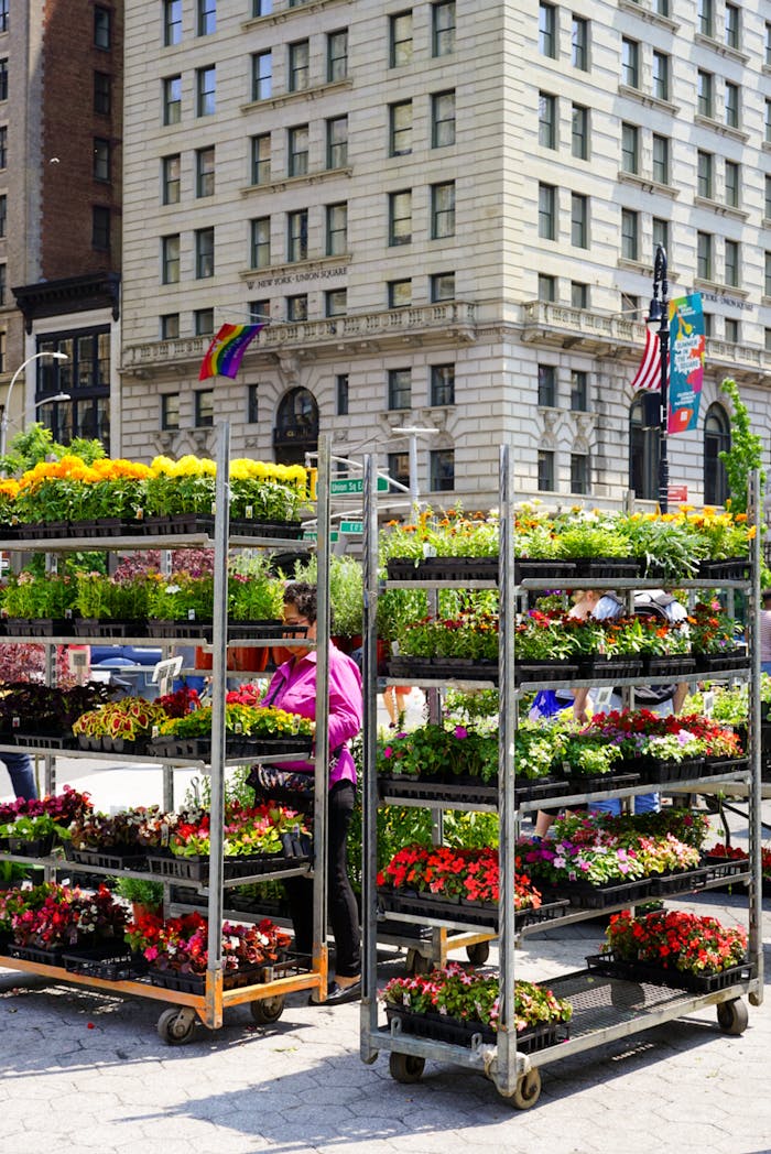 Home Colorful flower market stalls in a bustling city center with a historic building backdrop.